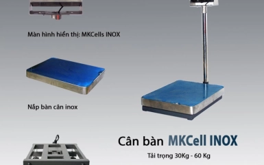 Dịch vụ kiểm định cân bàn điện tử uy tín tại Cân Sài Gòn